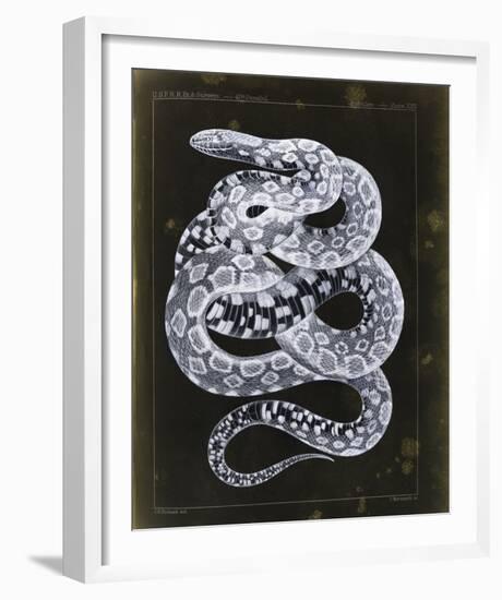 Zempoala-Chris Dunker-Framed Giclee Print