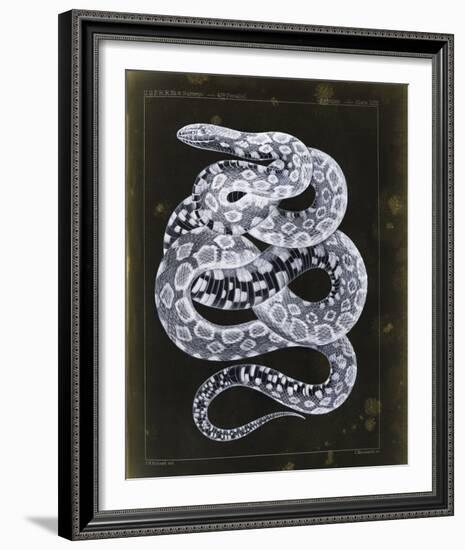 Zempoala-Chris Dunker-Framed Giclee Print