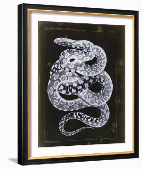 Zempoala-Chris Dunker-Framed Giclee Print