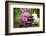 Zen Basalt Stones and Bamboo on the Wood-scorpp-Framed Photographic Print