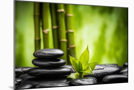 Zen Basalt Stones and Bamboo-scorpp-Mounted Premium Photographic Print