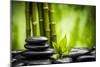 Zen Basalt Stones and Bamboo-scorpp-Mounted Premium Photographic Print