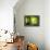 Zen Basalt Stones and Bamboo-scorpp-Framed Premier Image Canvas displayed on a wall