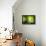 Zen Basalt Stones and Bamboo-scorpp-Framed Premier Image Canvas displayed on a wall