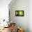 Zen Basalt Stones and Bamboo-scorpp-Framed Premier Image Canvas displayed on a wall