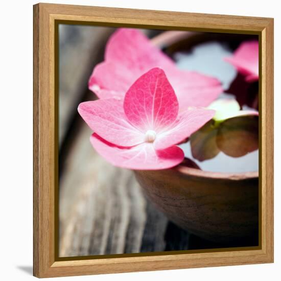 Zen Bowl-null-Framed Premier Image Canvas