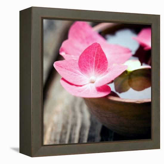 Zen Bowl-null-Framed Premier Image Canvas