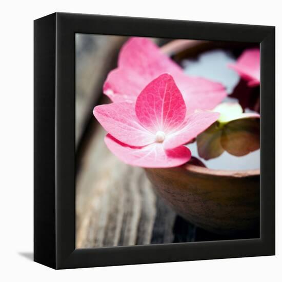 Zen Bowl-null-Framed Premier Image Canvas