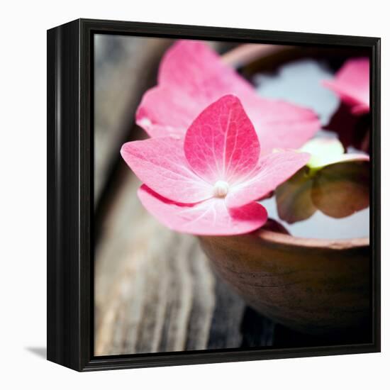 Zen Bowl-null-Framed Premier Image Canvas