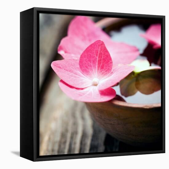 Zen Bowl-null-Framed Premier Image Canvas
