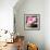 Zen Bowl-null-Framed Photographic Print displayed on a wall