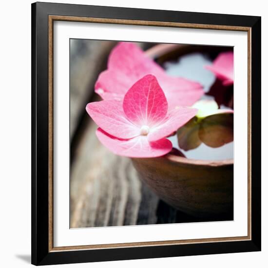 Zen Bowl-null-Framed Photographic Print