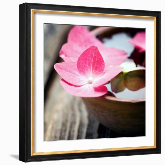 Zen Bowl-null-Framed Photographic Print