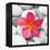 Zen Flower-null-Framed Premier Image Canvas