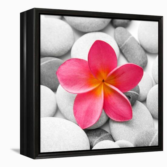 Zen Flower-null-Framed Premier Image Canvas