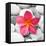 Zen Flower-null-Framed Premier Image Canvas