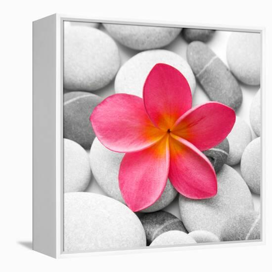 Zen Flower-null-Framed Premier Image Canvas
