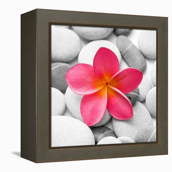 Zen Flower-PhotoINC Studio-Framed Stretched Canvas
