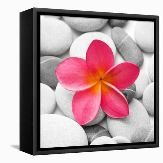 Zen Flower-PhotoINC Studio-Framed Stretched Canvas