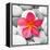 Zen Flower-PhotoINC Studio-Framed Stretched Canvas