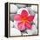 Zen Flower-PhotoINC Studio-Framed Stretched Canvas