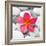 Zen Flower-PhotoINC Studio-Framed Art Print