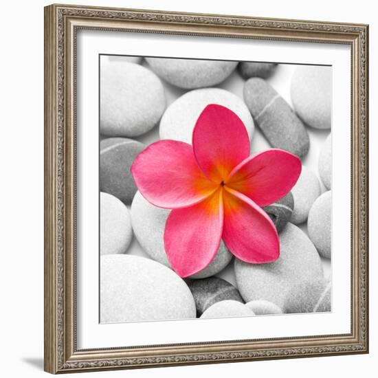 Zen Flower-PhotoINC Studio-Framed Art Print