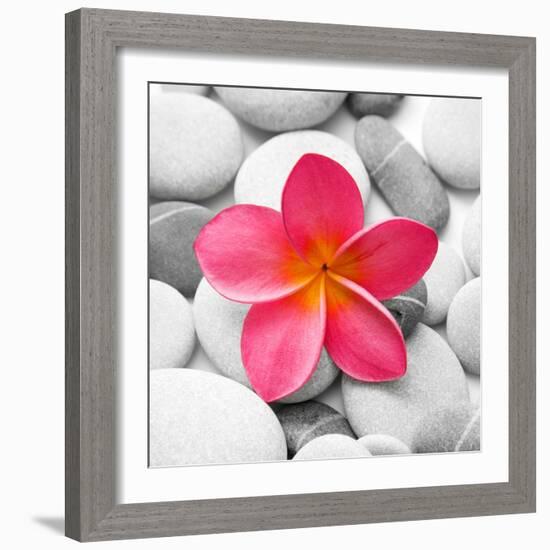 Zen Flower-PhotoINC Studio-Framed Art Print