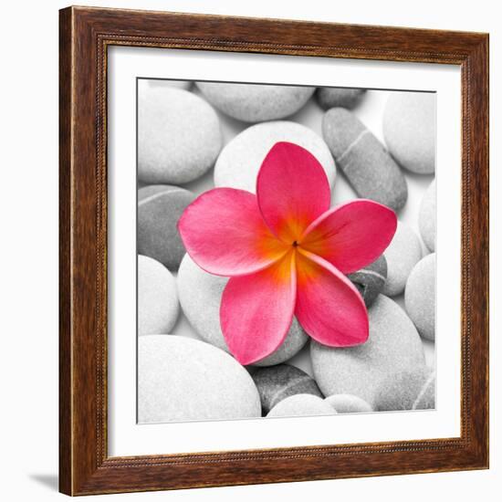 Zen Flower-PhotoINC Studio-Framed Art Print