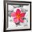 Zen Flower-PhotoINC Studio-Framed Art Print