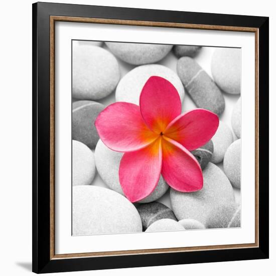 Zen Flower-PhotoINC Studio-Framed Art Print