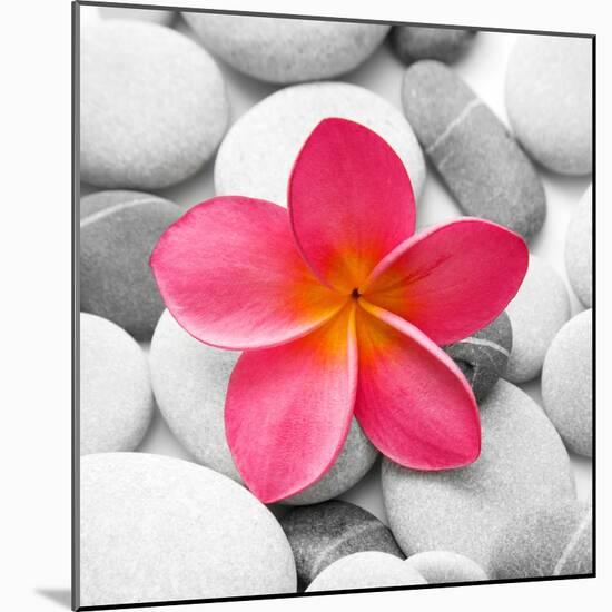 Zen Flower-PhotoINC Studio-Mounted Art Print