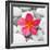 Zen Flower-PhotoINC Studio-Framed Art Print