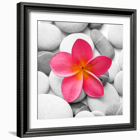 Zen Flower-PhotoINC Studio-Framed Art Print