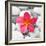 Zen Flower-PhotoINC Studio-Framed Art Print