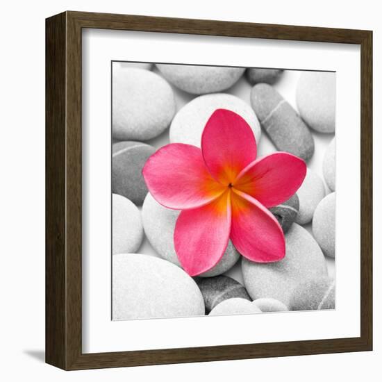 Zen Flower-PhotoINC Studio-Framed Art Print