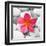 Zen Flower-PhotoINC Studio-Framed Art Print