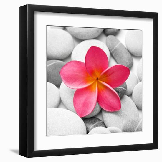 Zen Flower-PhotoINC Studio-Framed Art Print