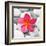 Zen Flower-PhotoINC Studio-Framed Art Print