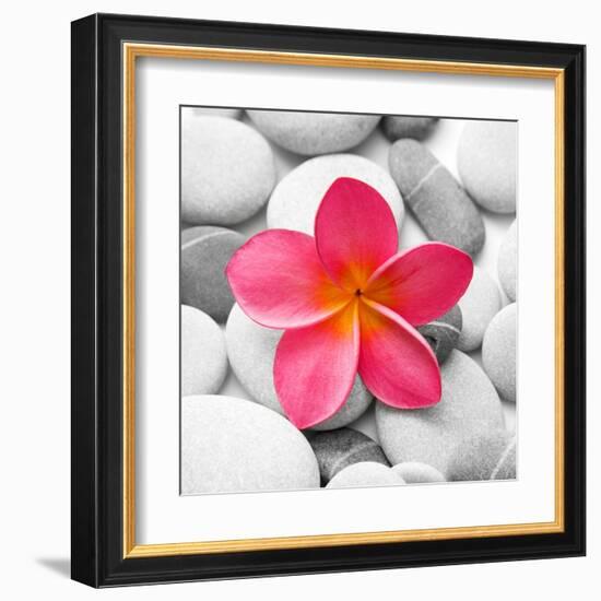 Zen Flower-PhotoINC Studio-Framed Art Print