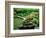 Zen Garden, Kyoto, Japan-Shin Terada-Framed Photographic Print