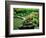 Zen Garden, Kyoto, Japan-Shin Terada-Framed Photographic Print