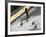 Zen Garden, Portland Japanese Garden, Portland, Oregon, USA-Michel Hersen-Framed Photographic Print