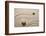 Zen Garden-og-vision-Framed Photographic Print