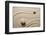 Zen Garden-og-vision-Framed Photographic Print