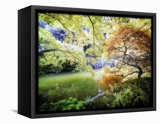 Zen Garden-Viviane Fedieu Daniel-Framed Premier Image Canvas