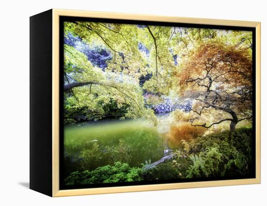 Zen Garden-Viviane Fedieu Daniel-Framed Premier Image Canvas