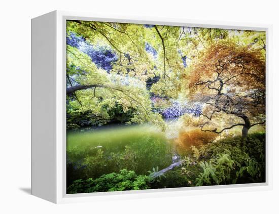 Zen Garden-Viviane Fedieu Daniel-Framed Premier Image Canvas