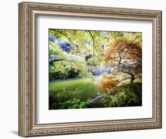 Zen Garden-Viviane Fedieu Daniel-Framed Photographic Print