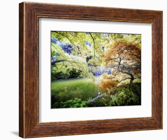 Zen Garden-Viviane Fedieu Daniel-Framed Photographic Print